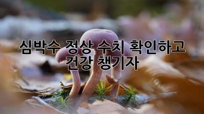 심박수 정상 수치 확인하고 건강 챙기자!
