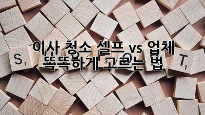이사, 청소!🧹 셀프 vs 업체? 똑똑하게 고르는 법!
